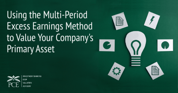 Using the MPEEM to Value Your Companys Primary Asset
