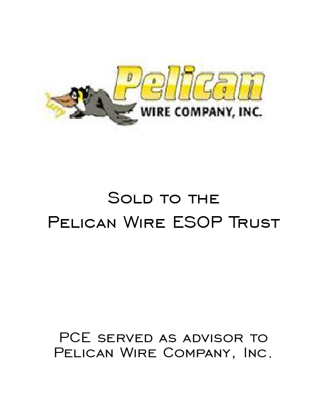 Pelican Wire Pitchbook tombstone 2023-01