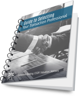 Guide to Selecting Your Transaction Professional