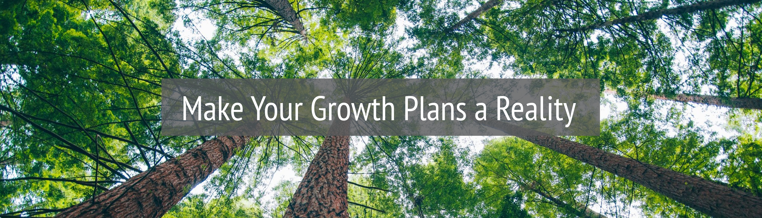 Make Your Growth Plans a Reality